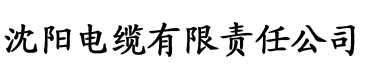 欲之国的太子朕再也不敢了电缆厂logo